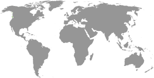 Export Map